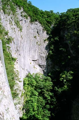 �_��������������