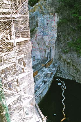 ��̂̒����r��