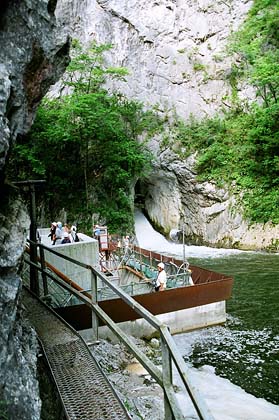 ��̒����̗l�q