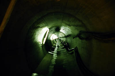 �����H�ł�