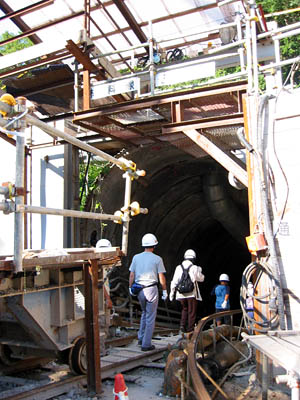 �����H�H������֒ʂ���΍B�̓����