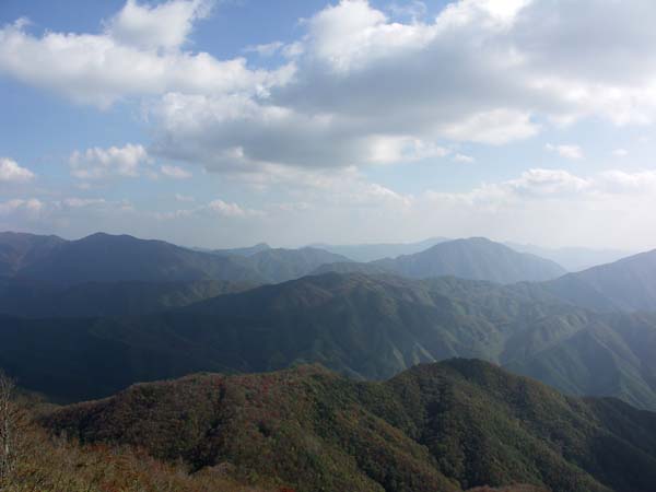 �W�]�䂩��̕��i���̂Q