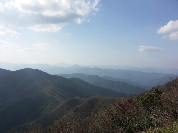 �W�]�䂩��̕��i���̂T